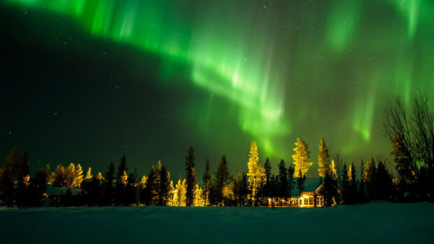 Northern lights illuminate the Finland night sky over a snowy forest landscape