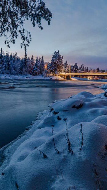 Snow covered riverbank with trees in Finland during winter twilight