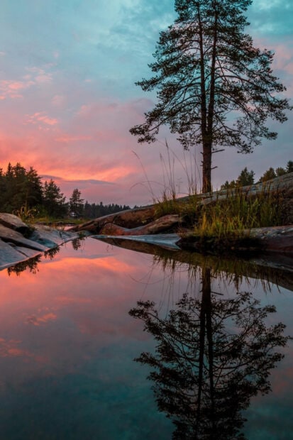 A pine tree reflection on calm water in Finland during a colorful sunset