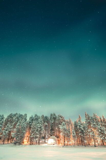 Snow covered forest with a glowing igloo under a starry Finland sky