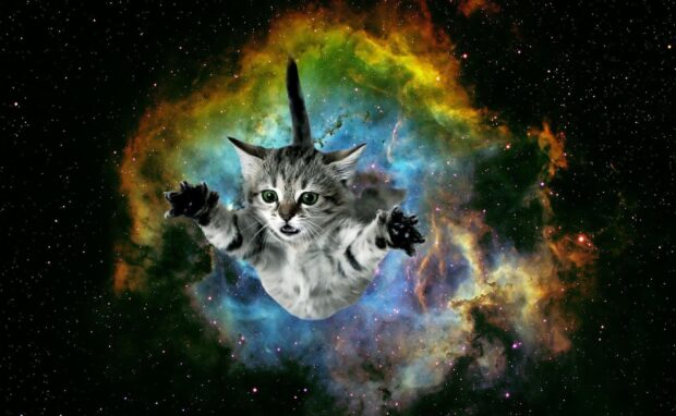 A cat floats with outstretched paws in a colorful galaxy full of stars, HD Desktop Wallpaper
