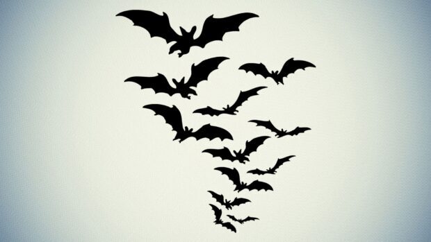 A group of bats is flying together in a light gradient sky with soft patterns, HD Desktop Wallpaper