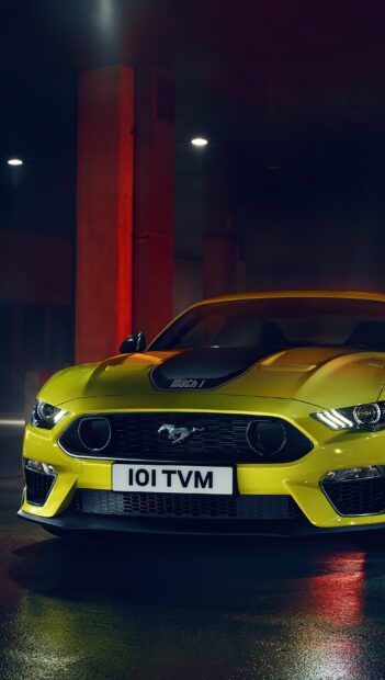 Yellow Ford Mustang Mach 1 front view with license plate 101 TVM in a dark garage