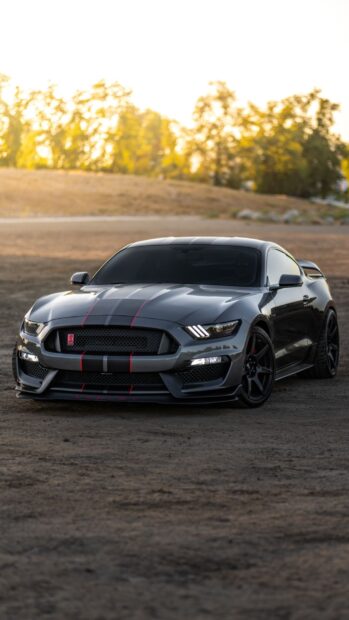 Black Ford Mustang with red stripes parked on dirt road at sunset