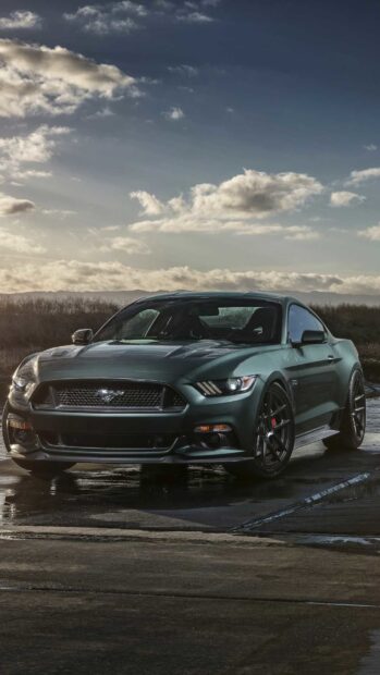 A sleek Ford Mustang sports car parked on a wet pavement under a cloudy sky