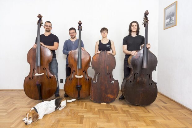 A group of four people standing with double bass instruments next to a dog lying on the wooden floor, 2K Desktop Wallpaper