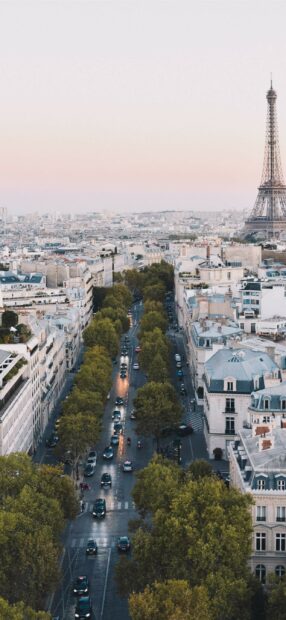 Paris streets lined with trees and the Eiffel Tower in France cityscape at dusk
