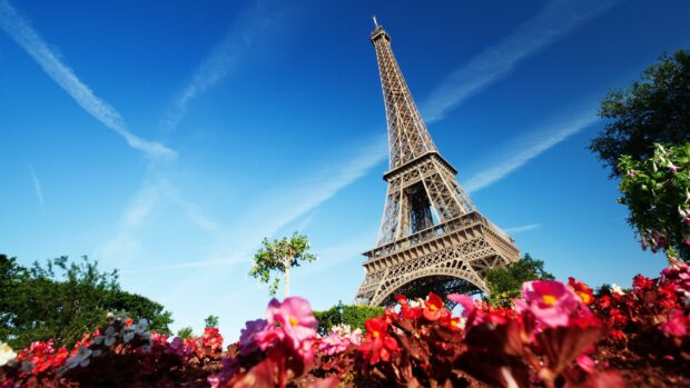 The Eiffel Tower surrounded by colorful flowers under a clear blue sky in France