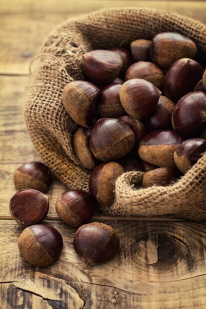 A burlap sack spilling fresh chestnuts on a wooden table, HD Phone Wallpaper