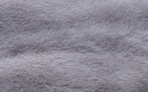 Soft gray fur texture covering the entire surface with natural patterns and depth