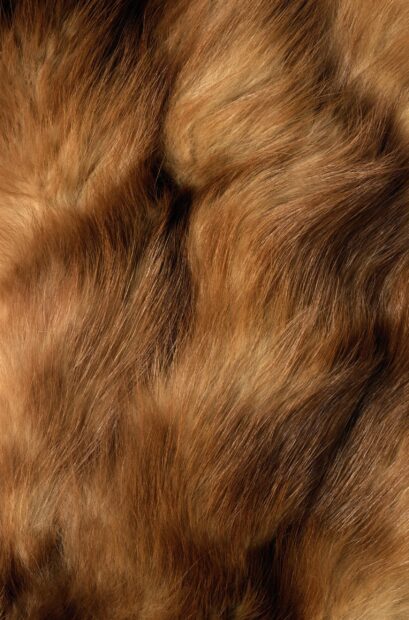 Soft brown fur texture with natural light and deep shadows
