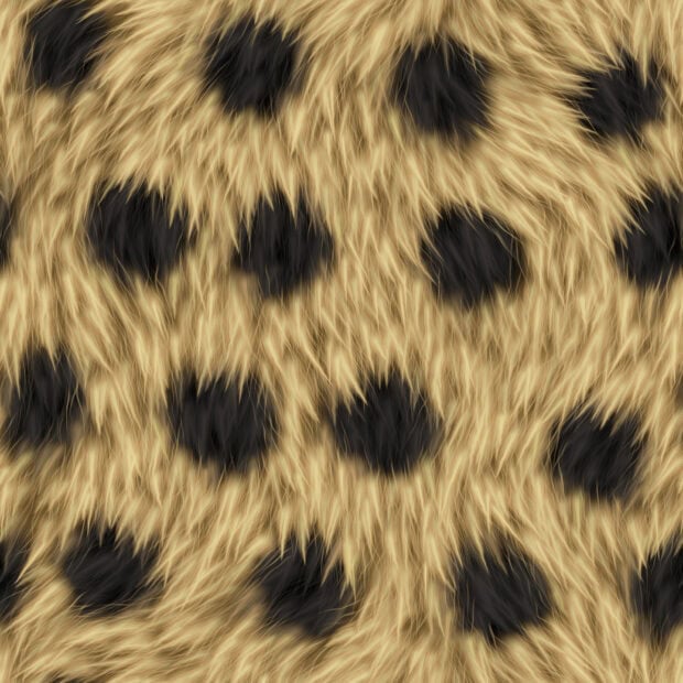Close up of fur with spotted pattern and soft texture