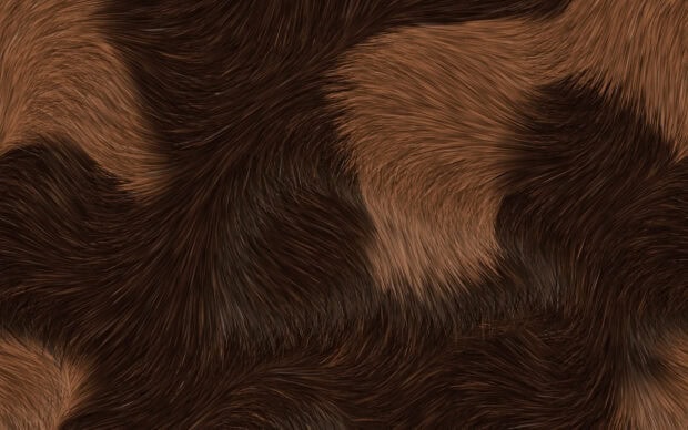 Close up texture of natural brown fur with detailed strands creating a soft pattern