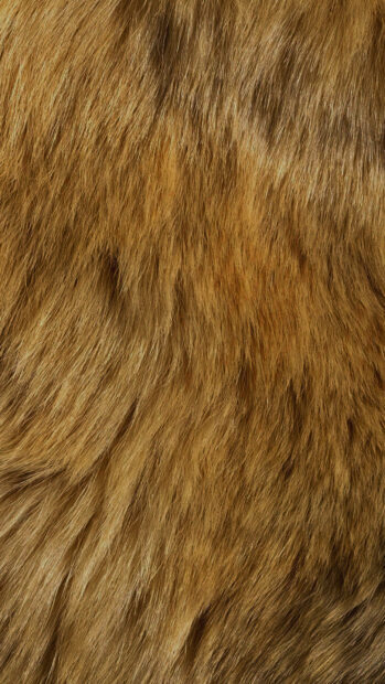 Close up of soft brown fur texture showing natural strands and patterns