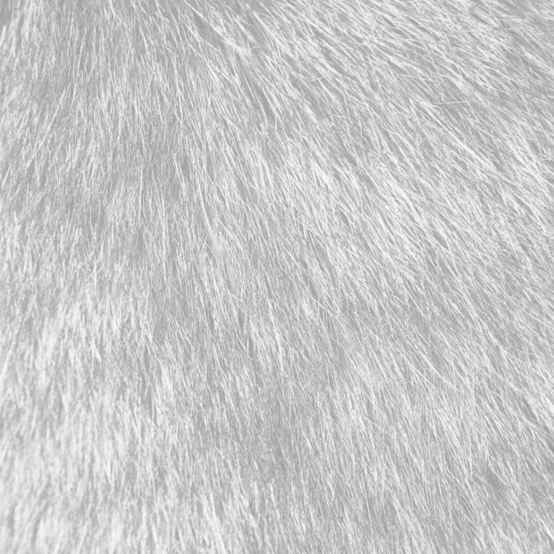 Close up view of soft fur texture showing detailed strands and natural patterns