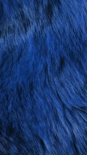 Close up of blue fur texture in high definition quality