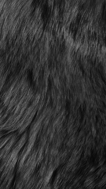 Soft black fur texture with natural patterns and details on a high definition surface