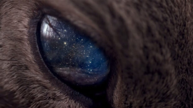 A close up of a cat's eye reflecting a galaxy scene with stars and cosmic dust, HD Desktop Wallpaper