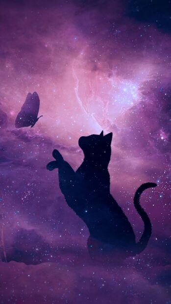 A silhouette of a cat reaching out to a butterfly in a galaxy filled with stars, HD Phone Wallpaper