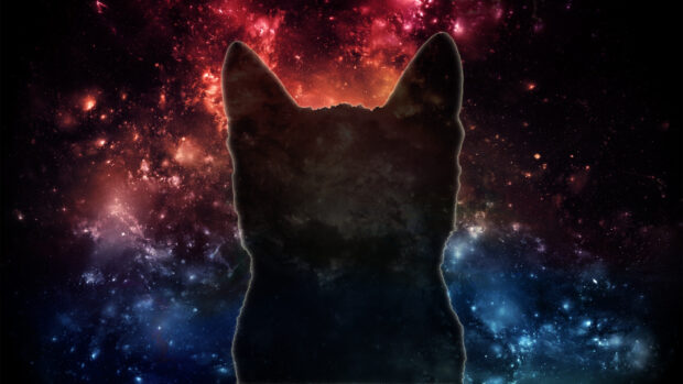 A galaxy cat silhouette is visible against a vibrant cosmic background, HD Desktop Wallpaper
