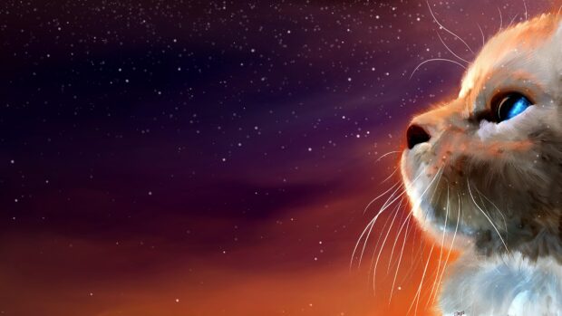 A cat with glowing blue cosmic eyes looks into the starry night sky, 2K Desktop Wallpaper