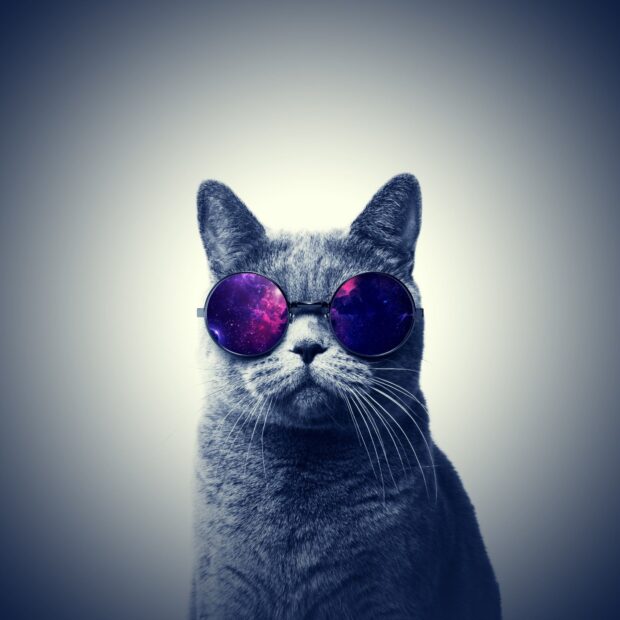 A cat wears sunglasses reflecting a vibrant galaxy scene with stars and nebulae, HD Desktop Wallpaper
