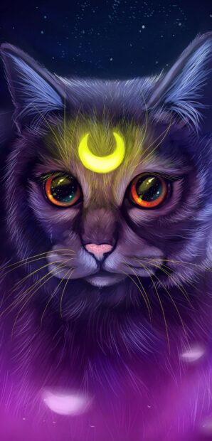 A galaxy cat with glowing eyes and a crescent moon symbol on its forehead in a cosmic setting, HD Mobile Wallpaper