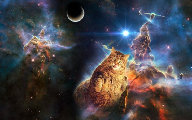 A galaxy cat is floating among colorful nebula clouds and bright stars, 2K Desktop Wallpaper