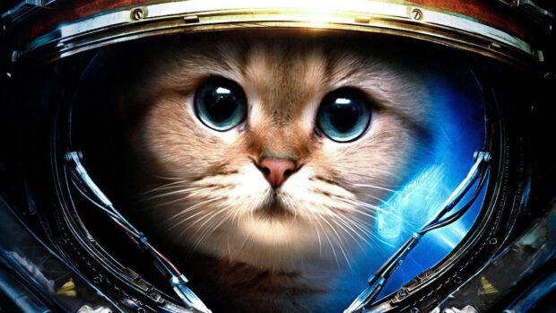 A galaxy cat with bright blue eyes inside a detailed astronaut helmet, HD Desktop Wallpaper