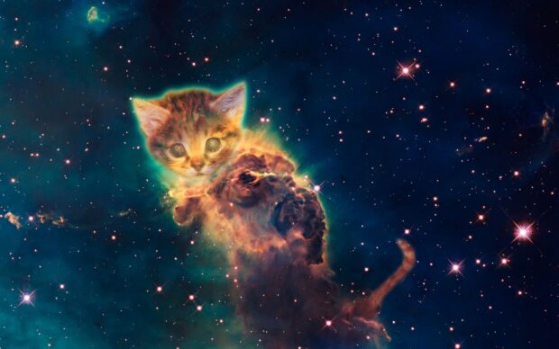 A cute galaxy cat is floating among bright stars and cosmic clouds, HD Desktop Wallpaper