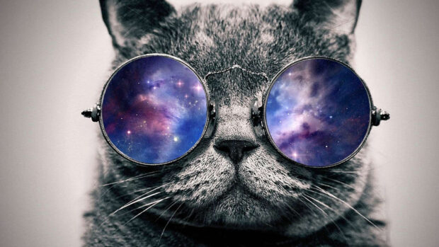 A close up of a gray cat wearing glasses reflecting a colorful galaxy scene, HD Desktop Wallpaper