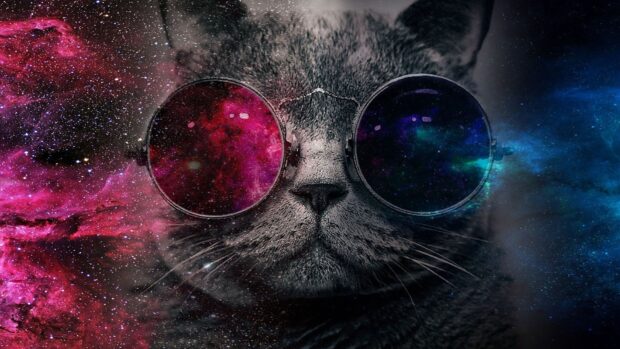 A galaxy cat wearing round cosmic glasses reflected with vibrant nebula colors, HD Desktop Wallpaper