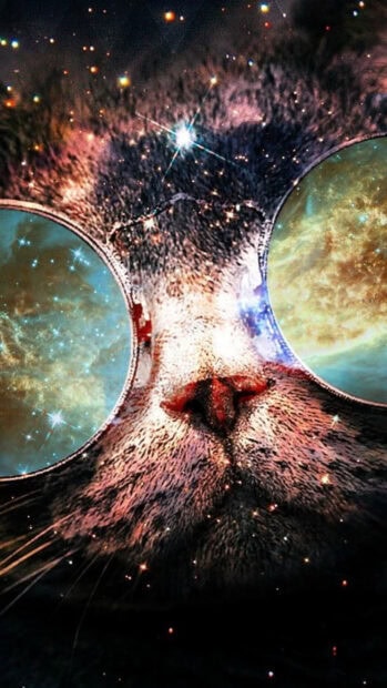 A galaxy cat wears sunglasses reflecting the colorful cosmos and stars, 2K Phone Wallpaper