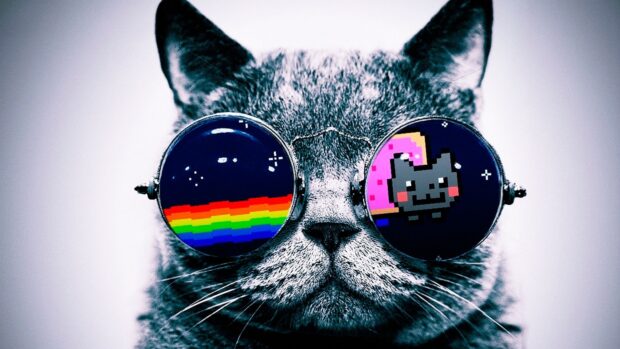 A cat wears glasses reflecting pixel art and rainbow colors, HD Desktop Wallpaper