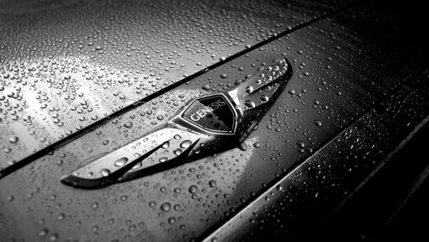 A close up of the Genesis emblem covered in water droplets on a black surface, HD Desktop Wallpaper