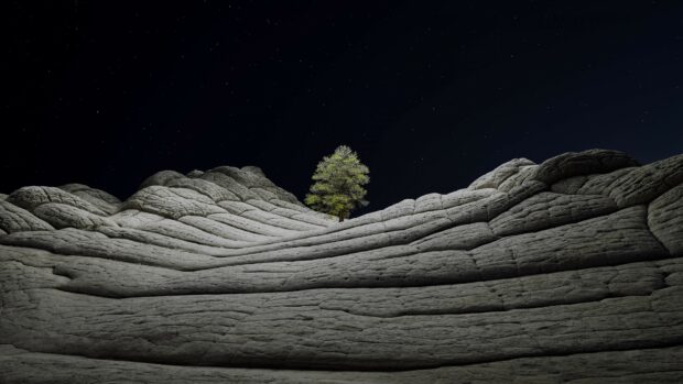 Lone tree growing on layered rock formations under starry night sky