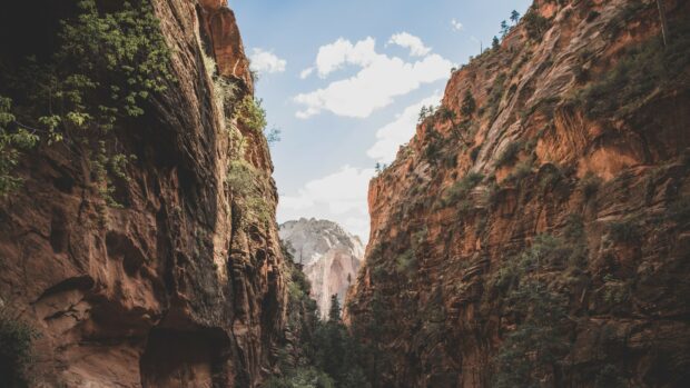 Narrow canyon walls with rocky geology formation and vegetation under a cloudy sky