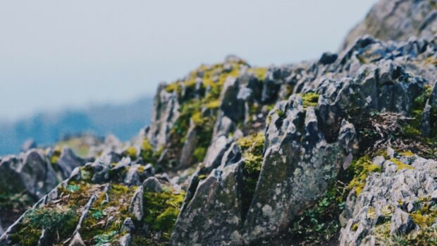 Sharp jagged rocks covered in moss on a mountain geology landscape