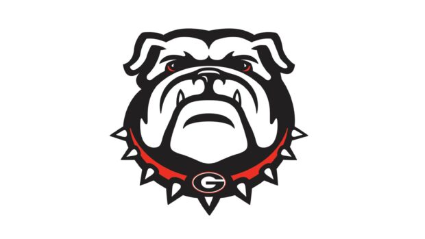 The Georgia Bulldogs fierce bulldog head logo with a spiked collar and red eyes