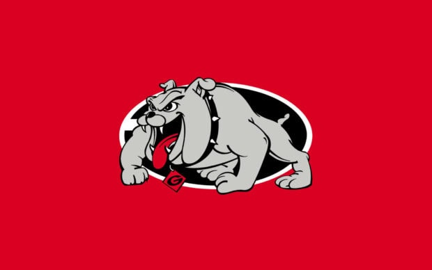 Aggressive bulldog mascot representing Georgia Bulldogs on a red background