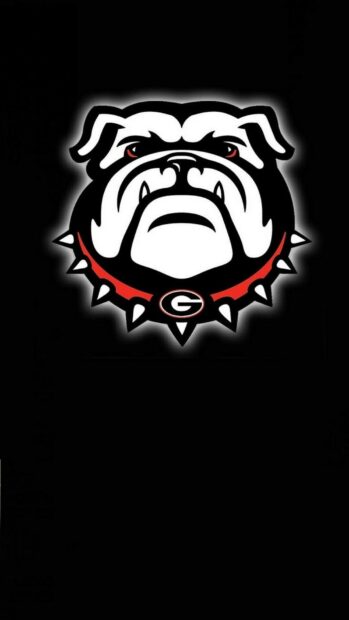 Fierce Georgia Bulldogs mascot with spiked collar on black background