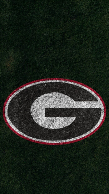 The Georgia logo on a grassy field representing Georgia Bulldogs
