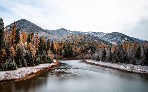 A river flows through colorful autumn trees and snow dusted mountains at Glacier National Park, 2K Desktop Wallpaper