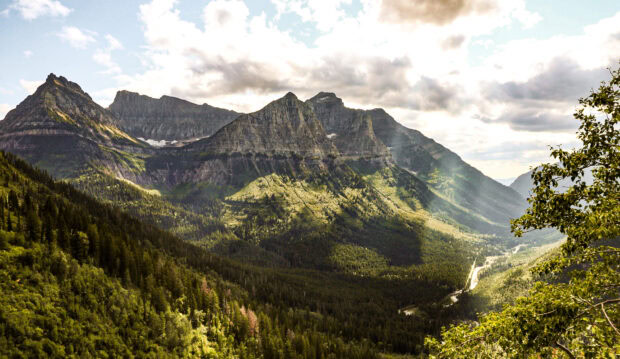 The mountain range in Glacier National Park is covered with dense forests under a cloudy sky, HD Desktop Wallpaper