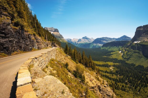 A clear day at Glacier National Park showing mountains and dense forest, HD Desktop Wallpaper