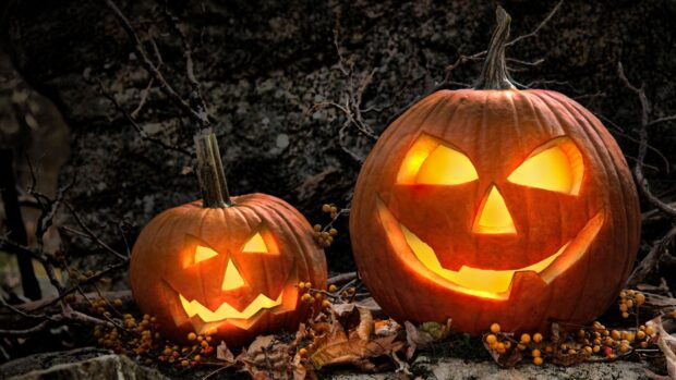 Two glowing Halloween pumpkins with carved faces sit among autumn leaves and branches at night, HD Desktop Wallpaper