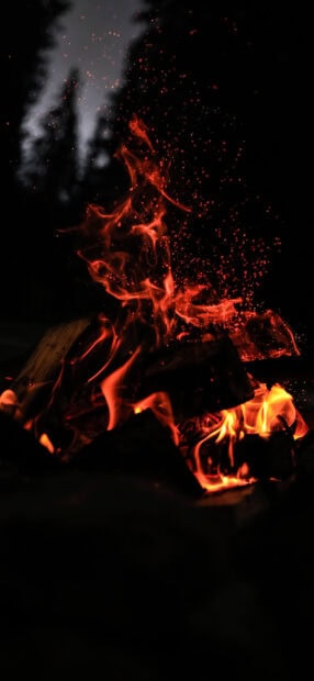 A glowing wood fire with sparks rising against a dark forest background, 2K Phone Wallpaper