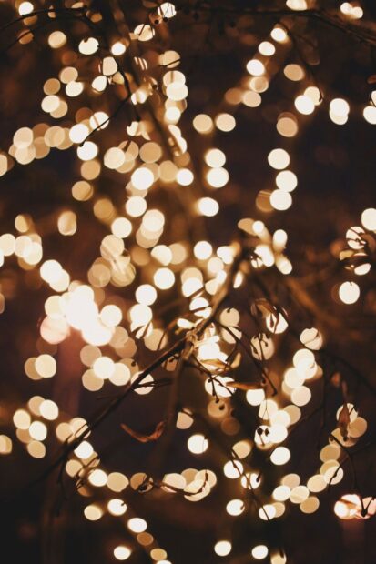 Branches with glowing gold lights creating a warm festive atmosphere