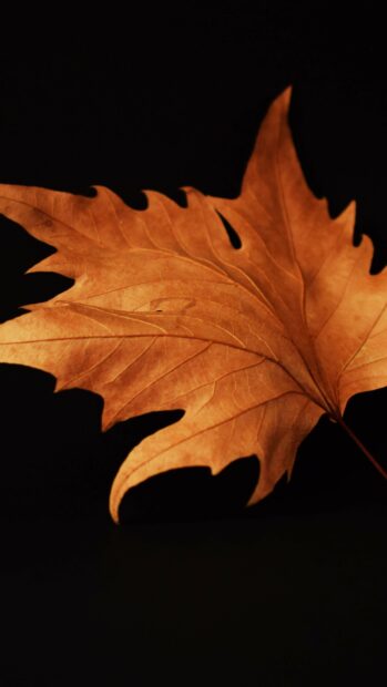 A close up of a golden leaf showcasing natural textures for gold leaf wallpapers, 4K Phone Wallpaper