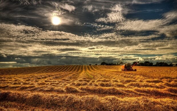 A combine harvester works in a golden field under a dramatic cloudy sky in Northern Ireland, HD Desktop Wallpaper
